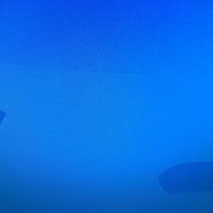 Meet your Posher, Ian